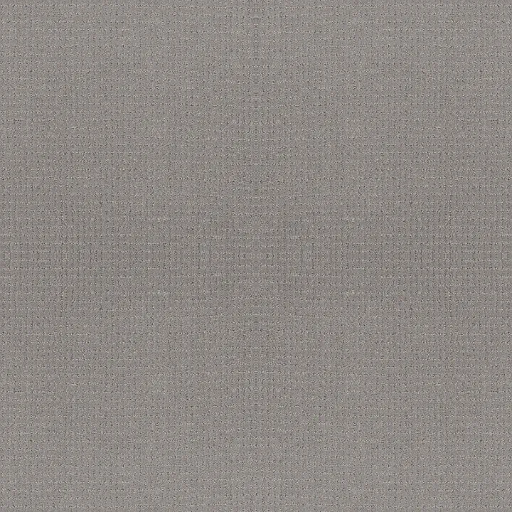 Anderson Tuftex Lyric — Sensible · ZZ257-00553 — flooring selection with LeviArs Design & Remodeling