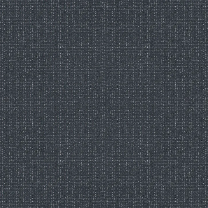 Anderson Tuftex Lyric — Uniform · ZZ257-00458 — flooring selection with LeviArs Design & Remodeling
