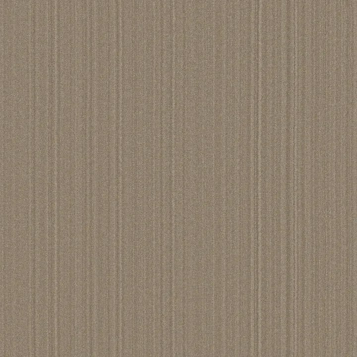 Anderson Tuftex Magnifique — Chateau · ZZ306-00109 — flooring selection with LeviArs Design & Remodeling