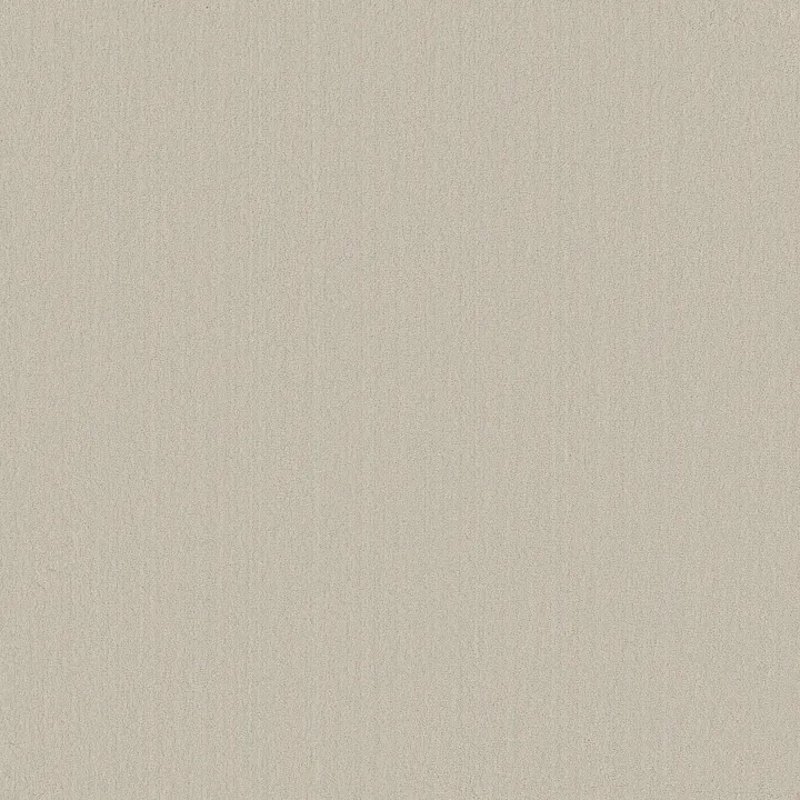 Anderson Tuftex Magnifique — Crystal Chandelier · ZZ306-00103 — flooring selection with LeviArs Design & Remodeling