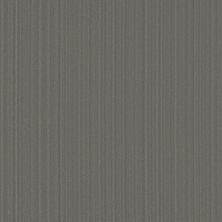 Anderson Tuftex Magnifique — Monument · ZZ306-00504 — flooring selection with LeviArs Design & Remodeling