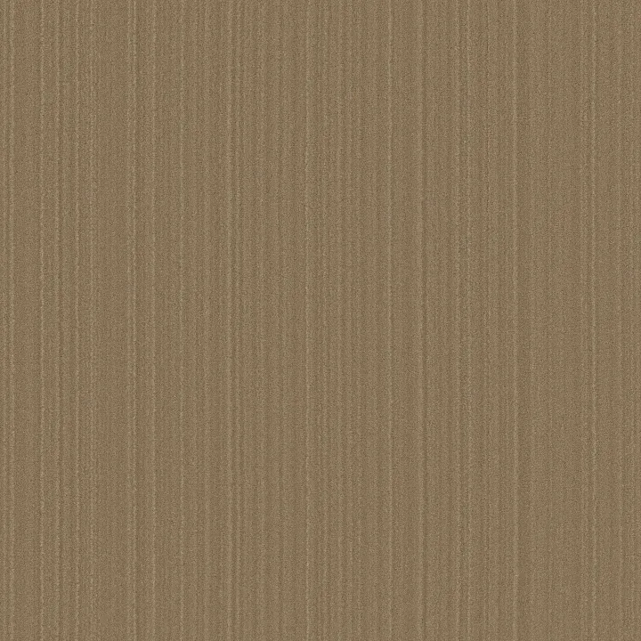Anderson Tuftex Magnifique — Palace · ZZ306-00200 — flooring selection with LeviArs Design & Remodeling