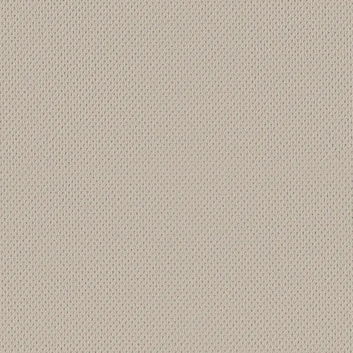 Anderson Tuftex Mera — Aged White · ZZ086-00112 — flooring selection with LeviArs Design & Remodeling