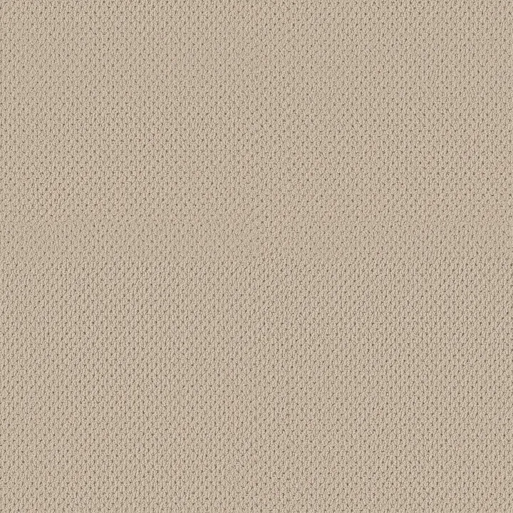 Anderson Tuftex Mera — Beach Haven · ZZ086-00124 — flooring selection with LeviArs Design & Remodeling