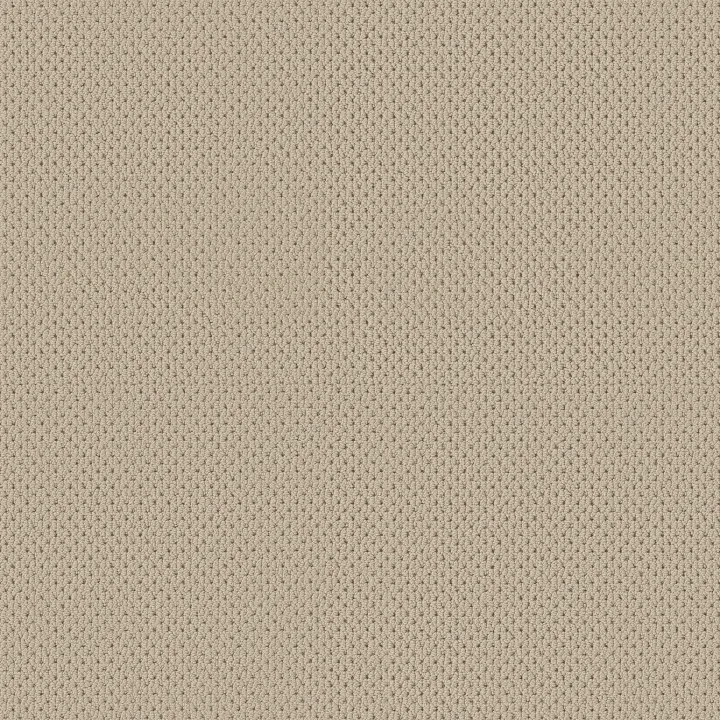 Anderson Tuftex Mera — Biscuit · ZZ086-00114 — flooring selection with LeviArs Design & Remodeling