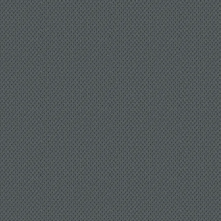 Anderson Tuftex Mera — Blustery Sky · ZZ086-00447 — flooring selection with LeviArs Design & Remodeling