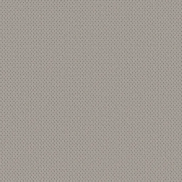 Anderson Tuftex Mera — Classic · ZZ086-00571 — flooring selection with LeviArs Design & Remodeling