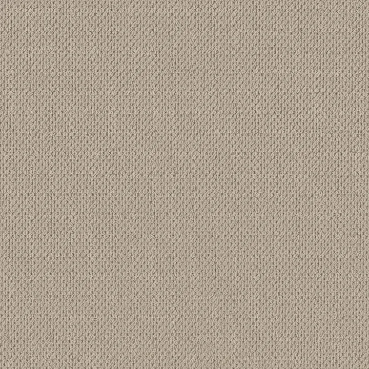 Anderson Tuftex Mera — Fleece · ZZ086-00115 — flooring selection with LeviArs Design & Remodeling