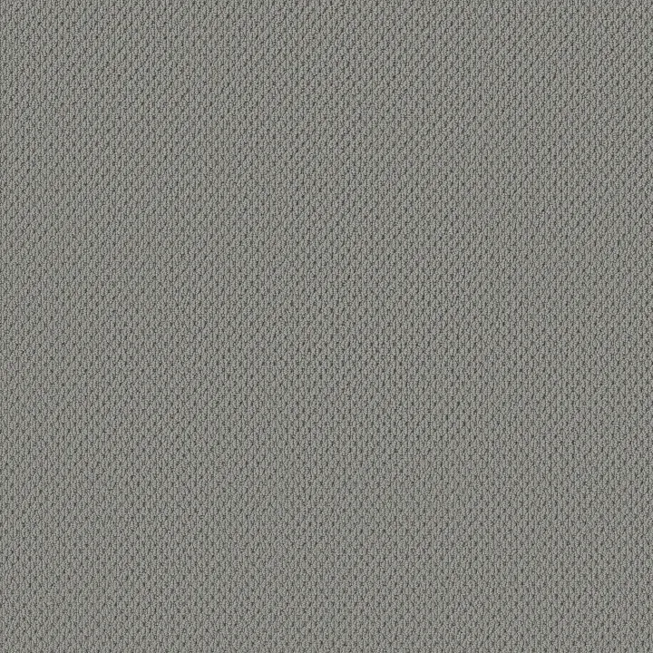 Anderson Tuftex Mera — Half Moon · ZZ086-00544 — flooring selection with LeviArs Design & Remodeling