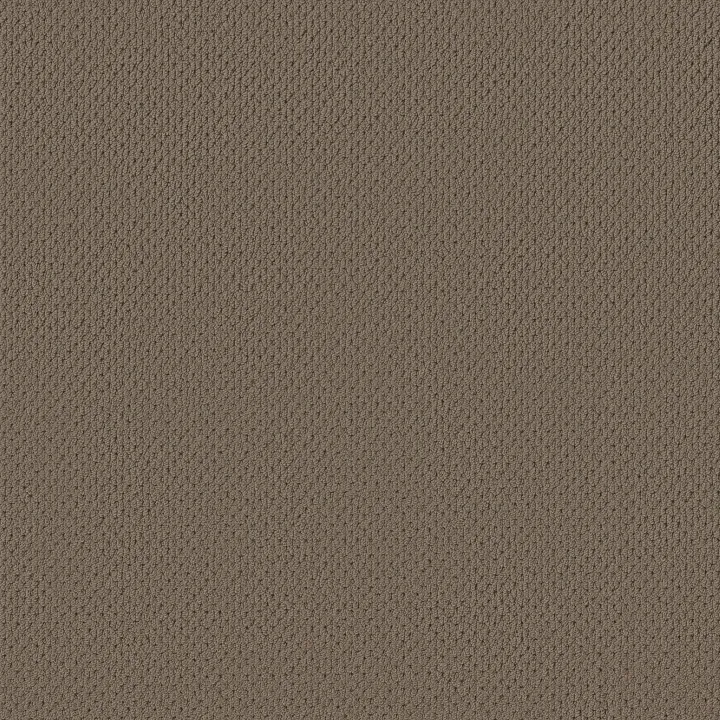 Anderson Tuftex Mera — Homestead · ZZ086-00777 — flooring selection with LeviArs Design & Remodeling