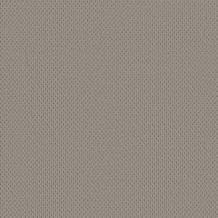 Anderson Tuftex Mera — Huskie · ZZ086-00573 — flooring selection with LeviArs Design & Remodeling