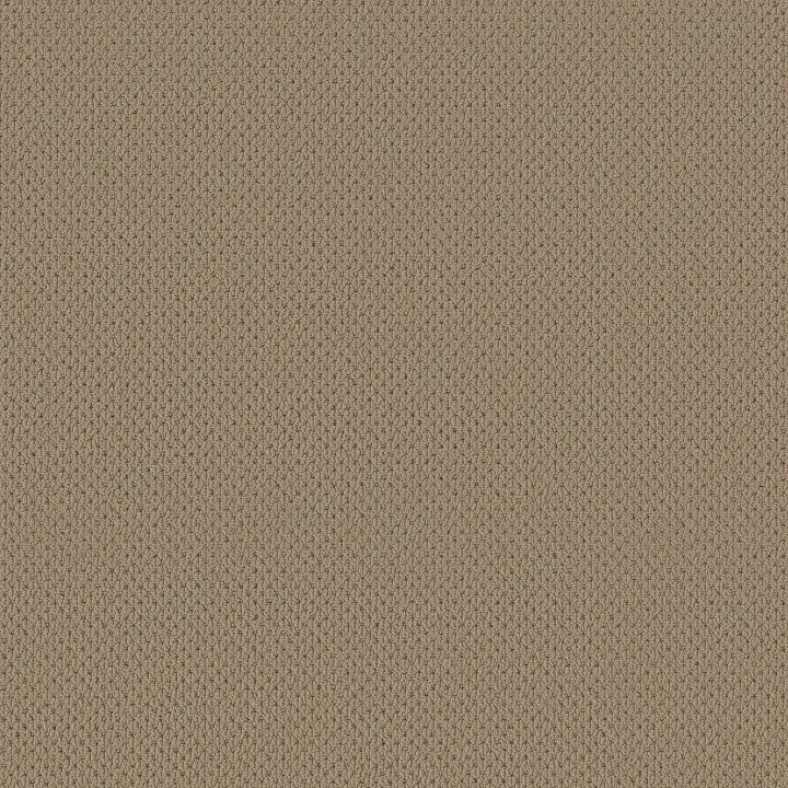 Anderson Tuftex Mera — Latte · ZZ086-00724 — flooring selection with LeviArs Design & Remodeling