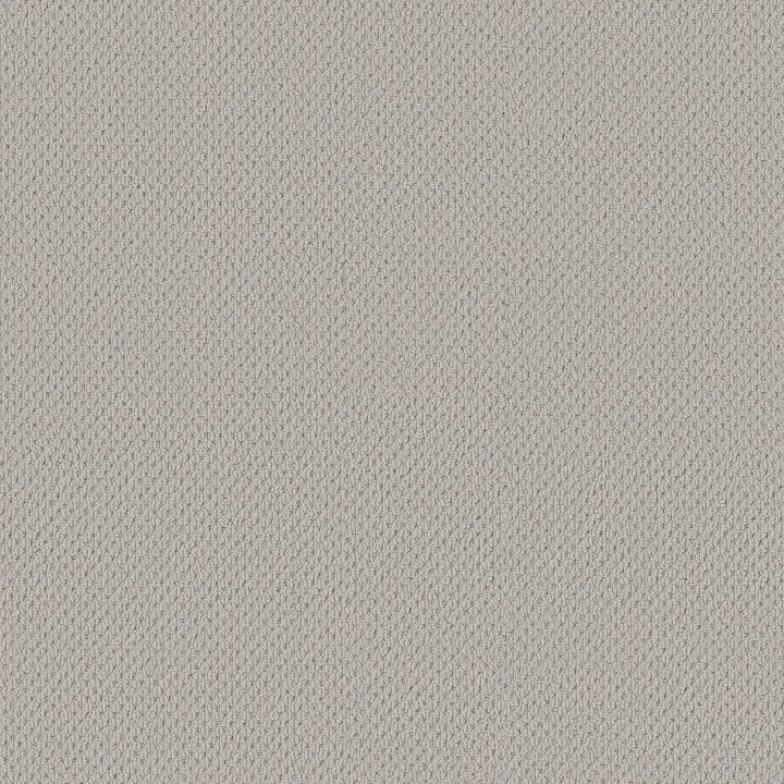 Anderson Tuftex Mera — Lullaby · ZZ086-00540 — flooring selection with LeviArs Design & Remodeling