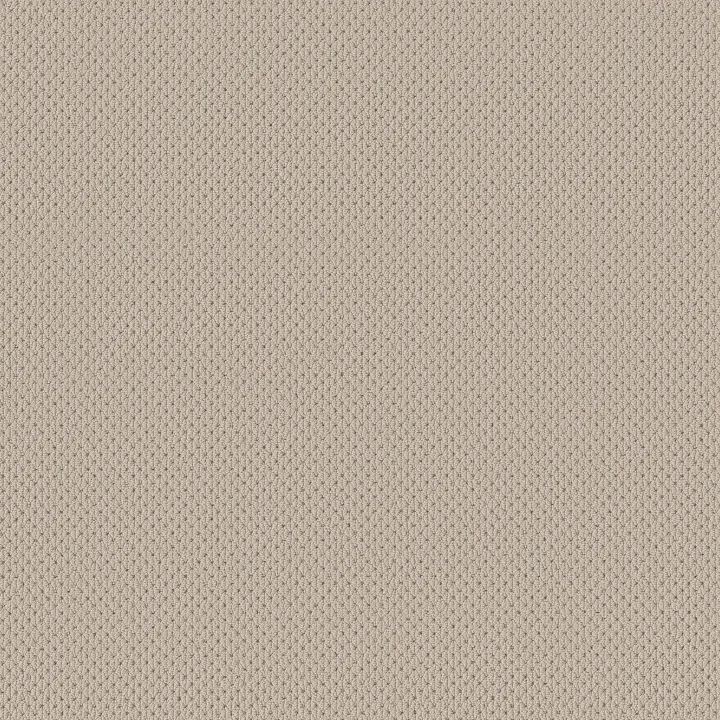 Anderson Tuftex Mera — Natural · ZZ086-00113 — flooring selection with LeviArs Design & Remodeling