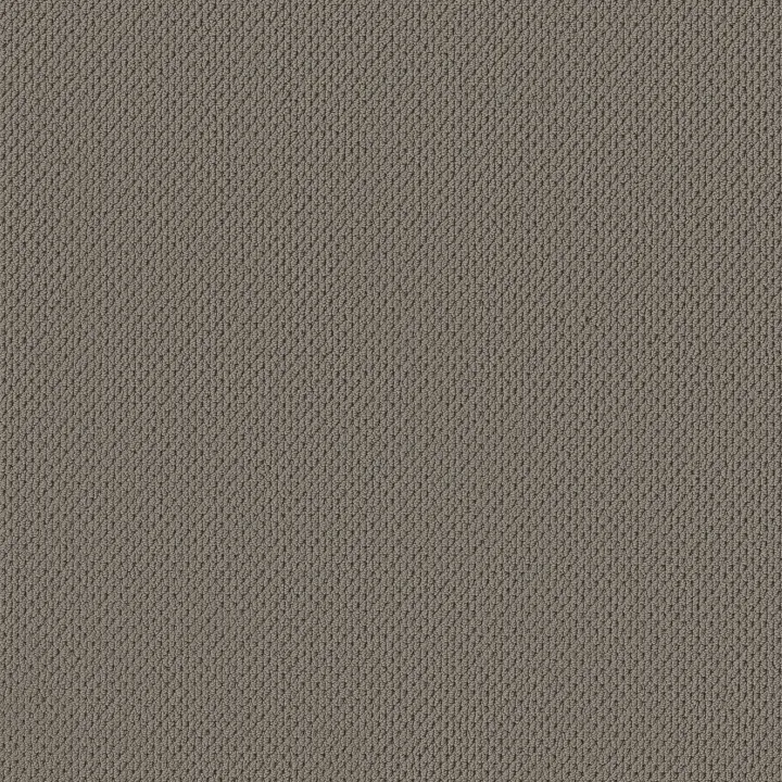 Anderson Tuftex Mera — Pewter · ZZ086-00577 — flooring selection with LeviArs Design & Remodeling