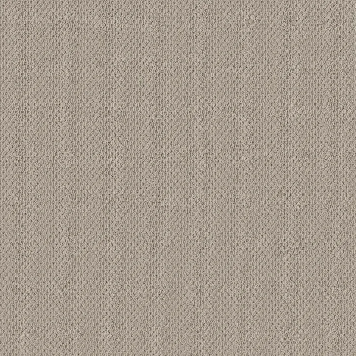 Anderson Tuftex Mera — Plymouth · ZZ086-00772 — flooring selection with LeviArs Design & Remodeling