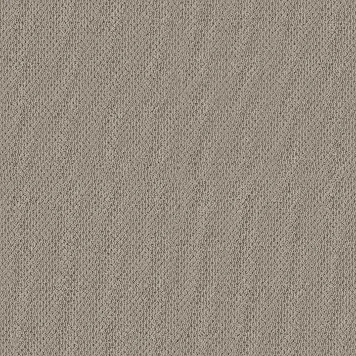 Anderson Tuftex Mera — Portico · ZZ086-00172 — flooring selection with LeviArs Design & Remodeling