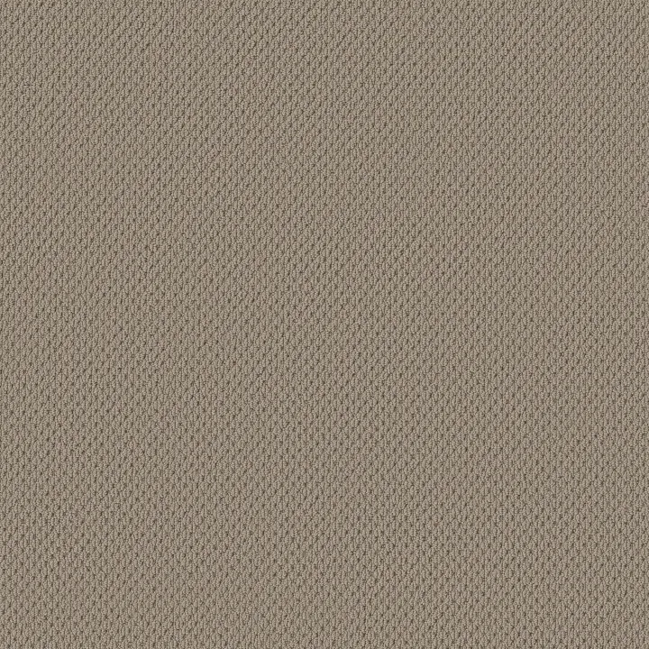 Anderson Tuftex Mera — Rockport · ZZ086-00774 — flooring selection with LeviArs Design & Remodeling