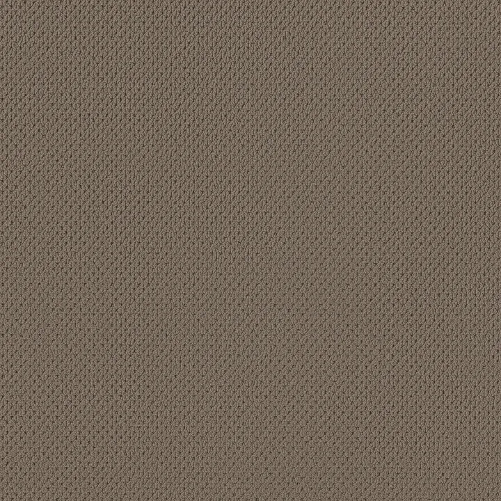 Anderson Tuftex Mera — Shingle · ZZ086-00758 — flooring selection with LeviArs Design & Remodeling