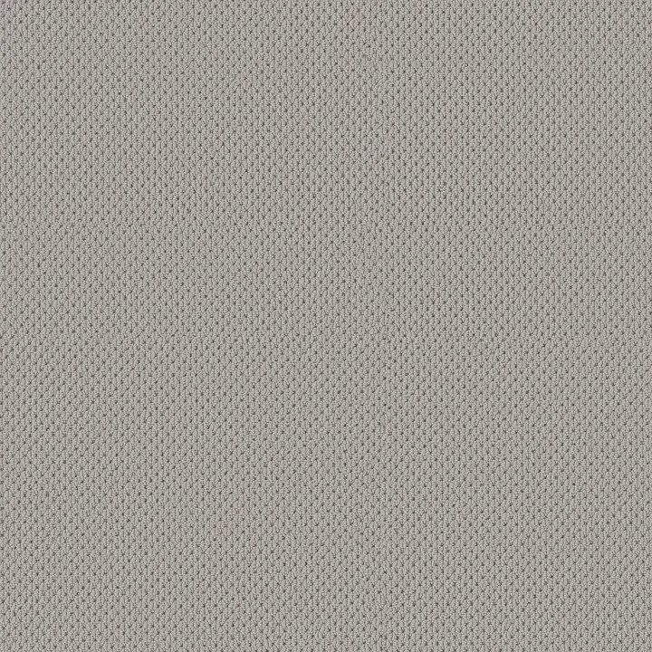 Anderson Tuftex Mera — Silverplate · ZZ086-00552 — flooring selection with LeviArs Design & Remodeling