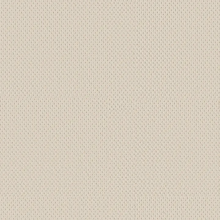 Anderson Tuftex Mera — Sparkling · ZZ086-00121 — flooring selection with LeviArs Design & Remodeling