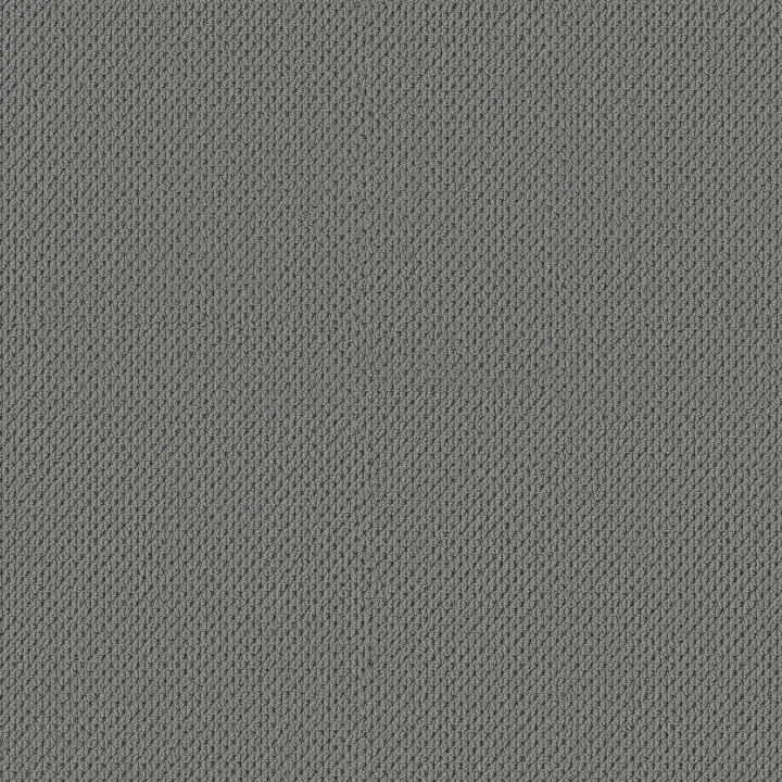 Anderson Tuftex Mera — Tin · ZZ086-00547 — flooring selection with LeviArs Design & Remodeling