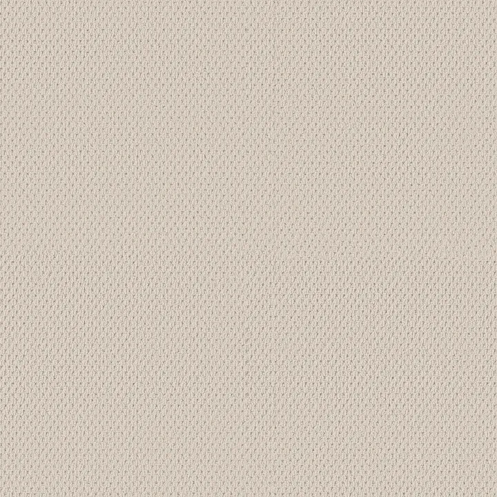 Anderson Tuftex Mera — White Blush · ZZ086-00111 — flooring selection with LeviArs Design & Remodeling