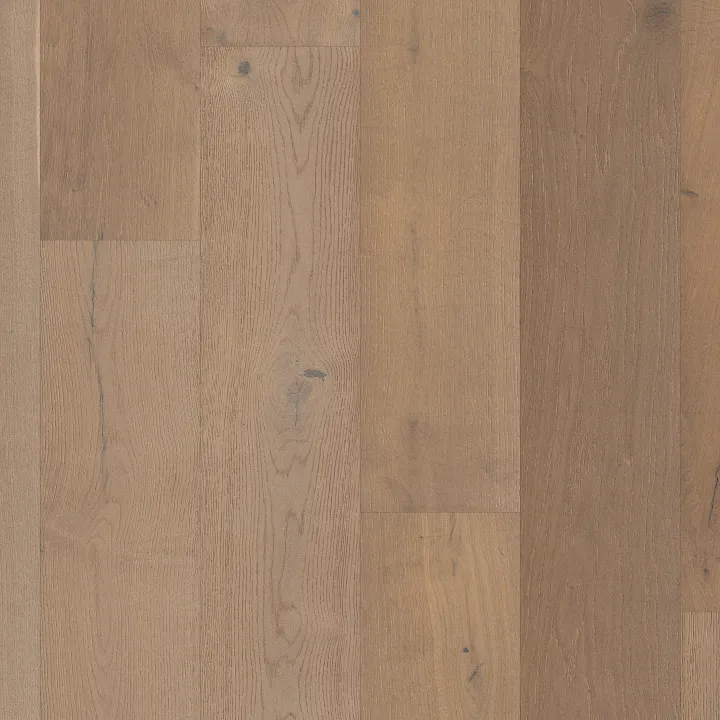 Anderson Tuftex Metallics II — Luxe Gold · AA848-12024 — flooring selection with LeviArs Design & Remodeling