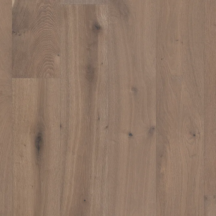Anderson Tuftex Metallics II — Platinum · AA848-11099 — flooring selection with LeviArs Design & Remodeling