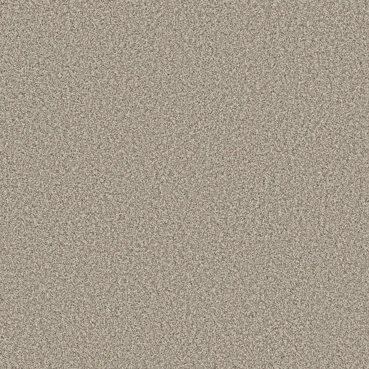 Anderson Tuftex Mira Nova — Cabana · ZZ379-00710 — flooring selection with LeviArs Design & Remodeling
