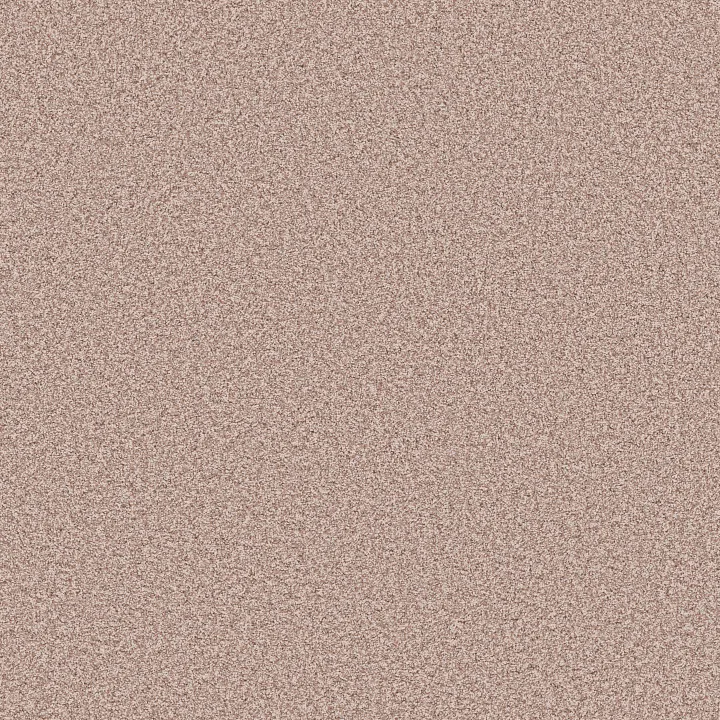 Anderson Tuftex Mira Nova — Flora · ZZ379-00810 — flooring selection with LeviArs Design & Remodeling