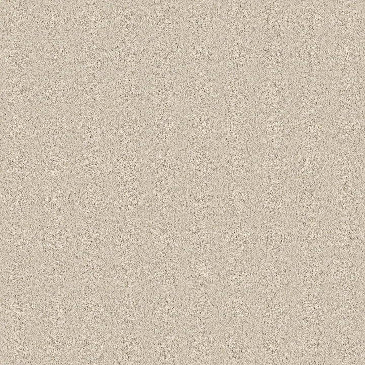 Anderson Tuftex Mira Nova — Light Breeze · ZZ379-00110 — flooring selection with LeviArs Design & Remodeling