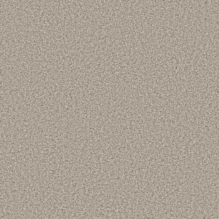Anderson Tuftex Mira Nova — Misty Dawn · ZZ379-00151 — flooring selection with LeviArs Design & Remodeling