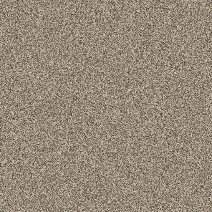 Anderson Tuftex Mira Nova — Pashmina · ZZ379-00754 — flooring selection with LeviArs Design & Remodeling