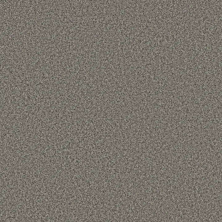 Anderson Tuftex Mira Nova — Sable · ZZ379-00550 — flooring selection with LeviArs Design & Remodeling