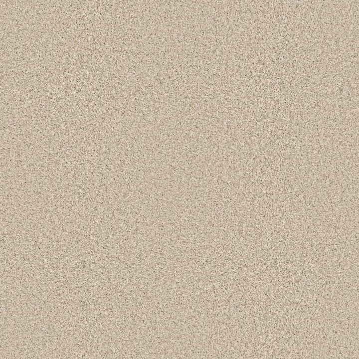Anderson Tuftex Mira Nova — Salt Air · ZZ379-00130 — flooring selection with LeviArs Design & Remodeling