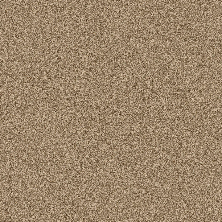 Anderson Tuftex Mira Nova — Savannah · ZZ379-00230 — flooring selection with LeviArs Design & Remodeling