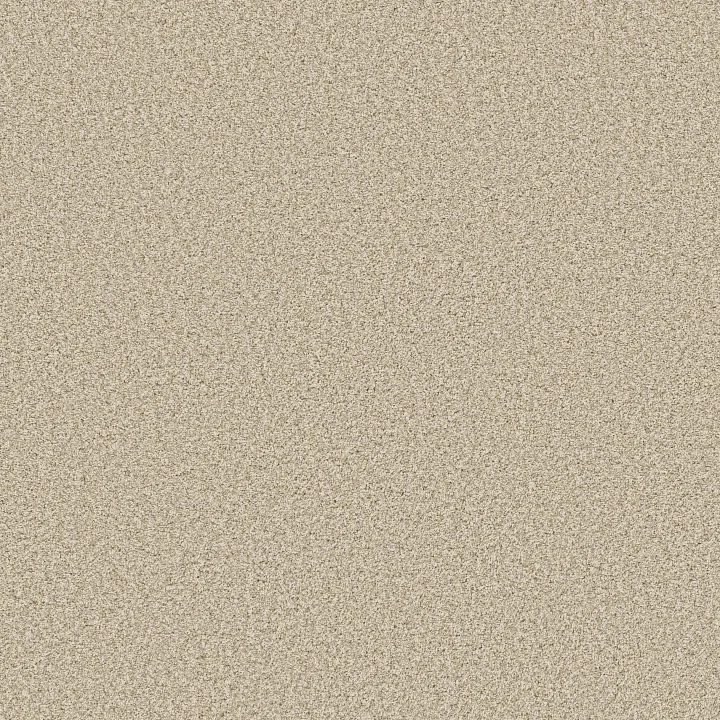 Anderson Tuftex Mira Nova — Soft Linen · ZZ379-00120 — flooring selection with LeviArs Design & Remodeling