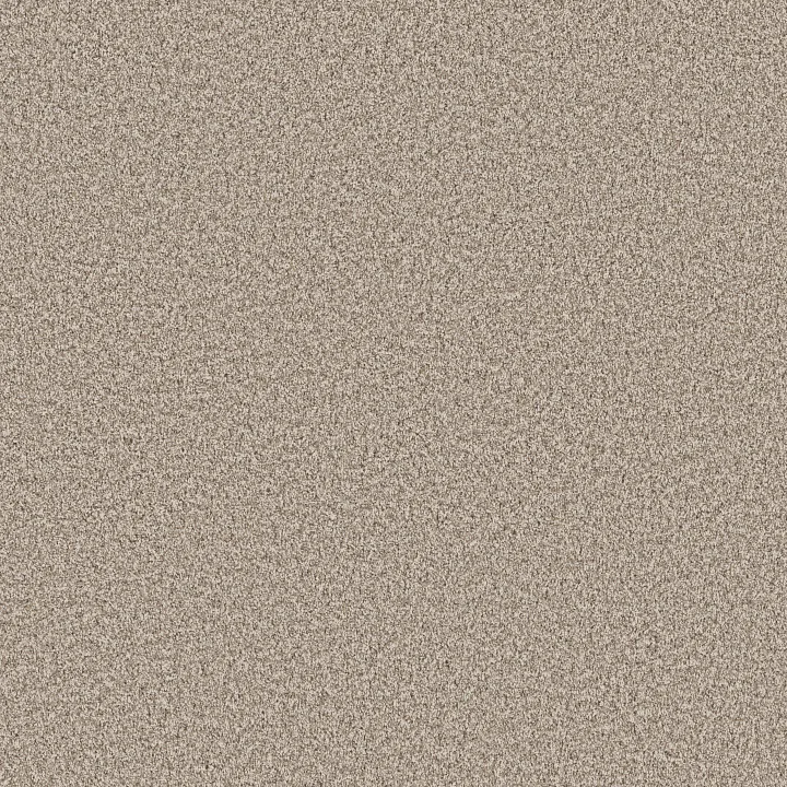 Anderson Tuftex Mira Nova — Spun Cotton · ZZ379-00172 — flooring selection with LeviArs Design & Remodeling