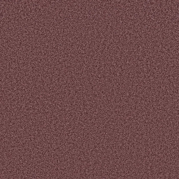 Anderson Tuftex Mira Nova — Tuscany · ZZ379-00870 — flooring selection with LeviArs Design & Remodeling