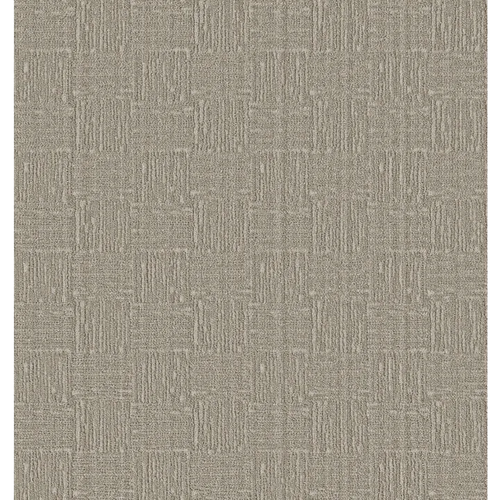 Anderson Tuftex Moderne — Ancient Street · ZZ303-00101 — flooring selection with LeviArs Design & Remodeling