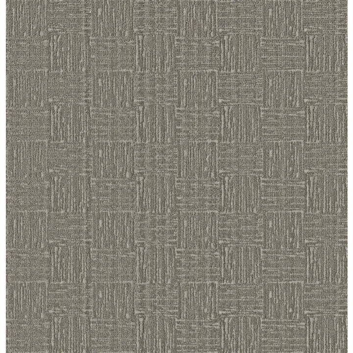 Anderson Tuftex Moderne — Cathedral · ZZ303-00502 — flooring selection with LeviArs Design & Remodeling
