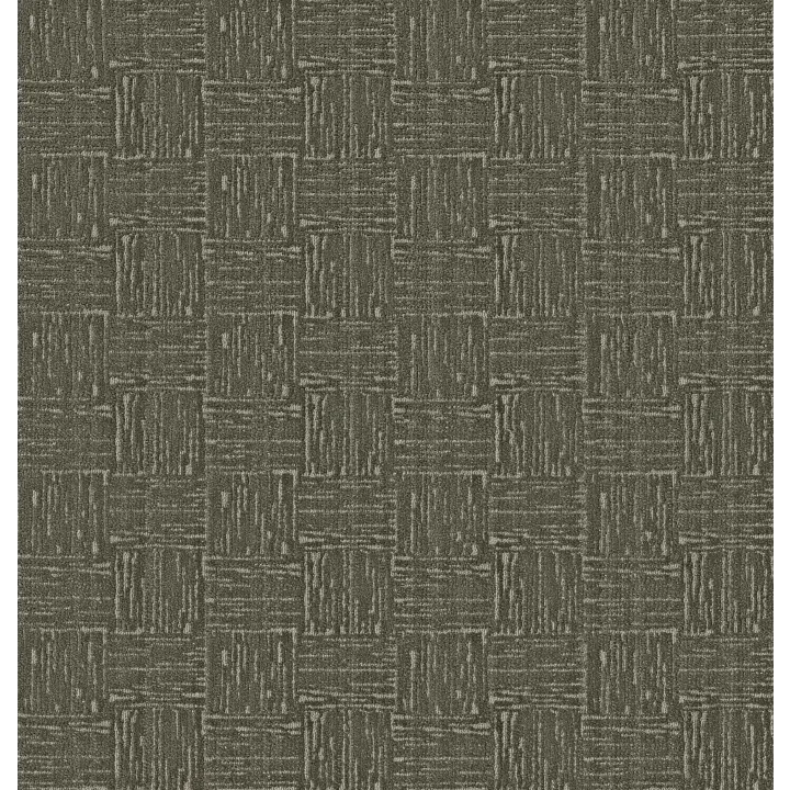 Anderson Tuftex Moderne — English Garden · ZZ303-00301 — flooring selection with LeviArs Design & Remodeling