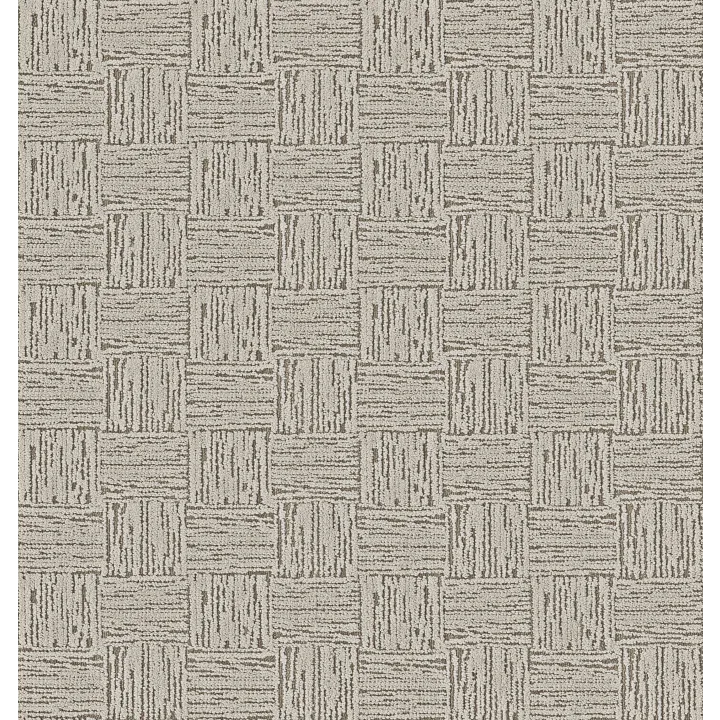 Anderson Tuftex Moderne — Fine Linen · ZZ303-00105 — flooring selection with LeviArs Design & Remodeling