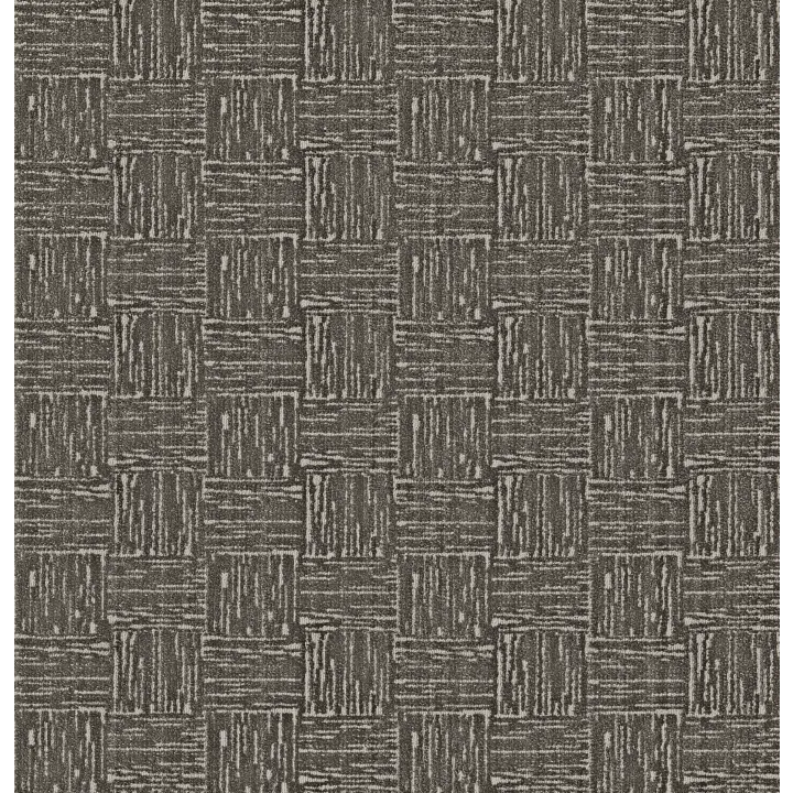 Anderson Tuftex Moderne — Luxury Velvet · ZZ303-00507 — flooring selection with LeviArs Design & Remodeling