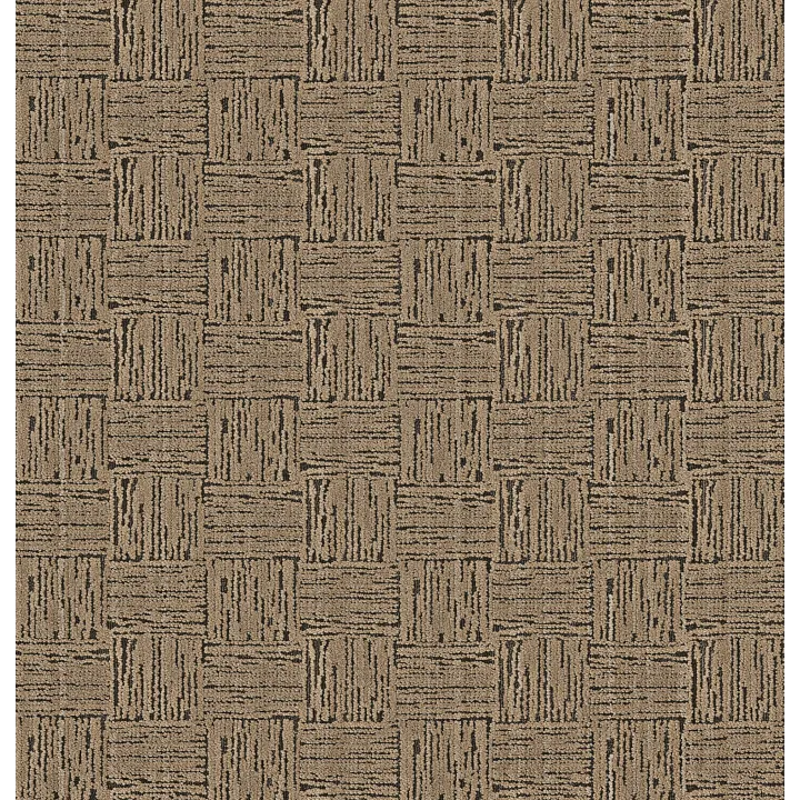Anderson Tuftex Moderne — Palace · ZZ303-00705 — flooring selection with LeviArs Design & Remodeling