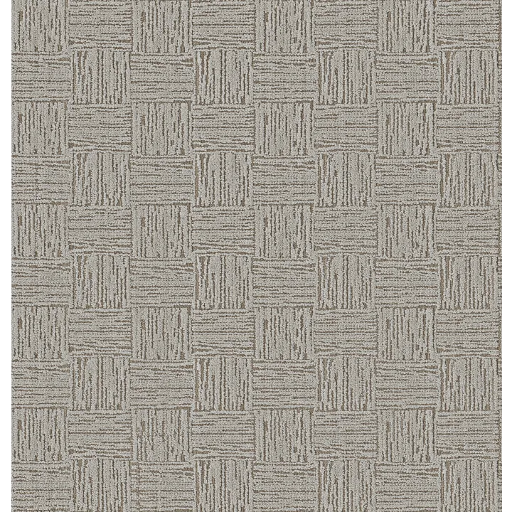 Anderson Tuftex Moderne — Windsor Castle · ZZ303-00500 — flooring selection with LeviArs Design & Remodeling