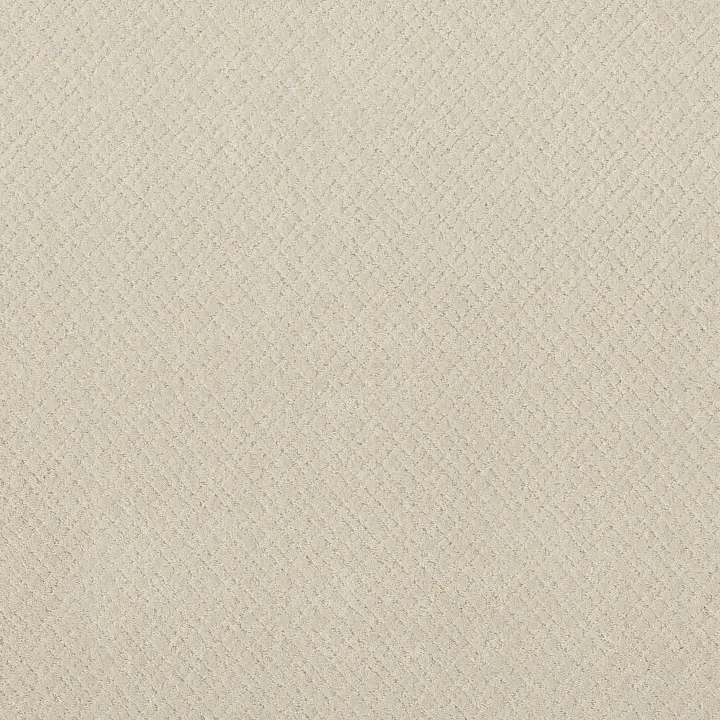Anderson Tuftex Mosaic — Almond Milk · ZZ076-00101 — flooring selection with LeviArs Design & Remodeling