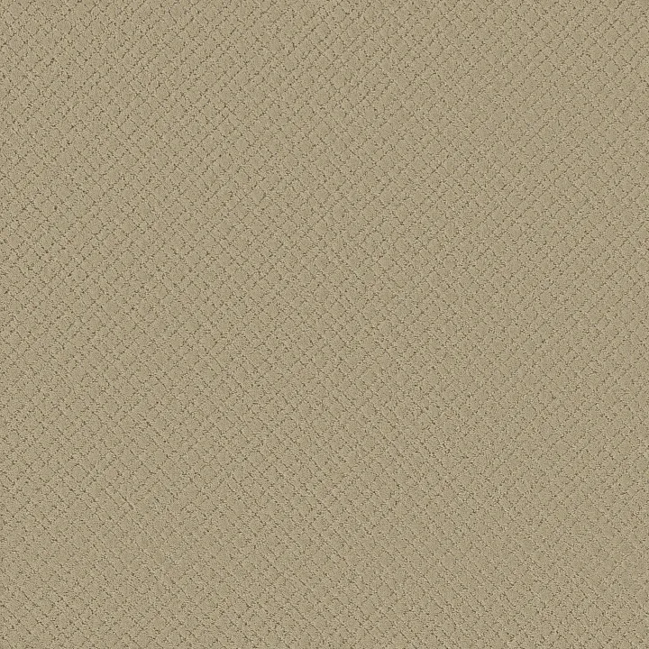 Anderson Tuftex Mosaic — Bungalow · ZZ076-00103 — flooring selection with LeviArs Design & Remodeling