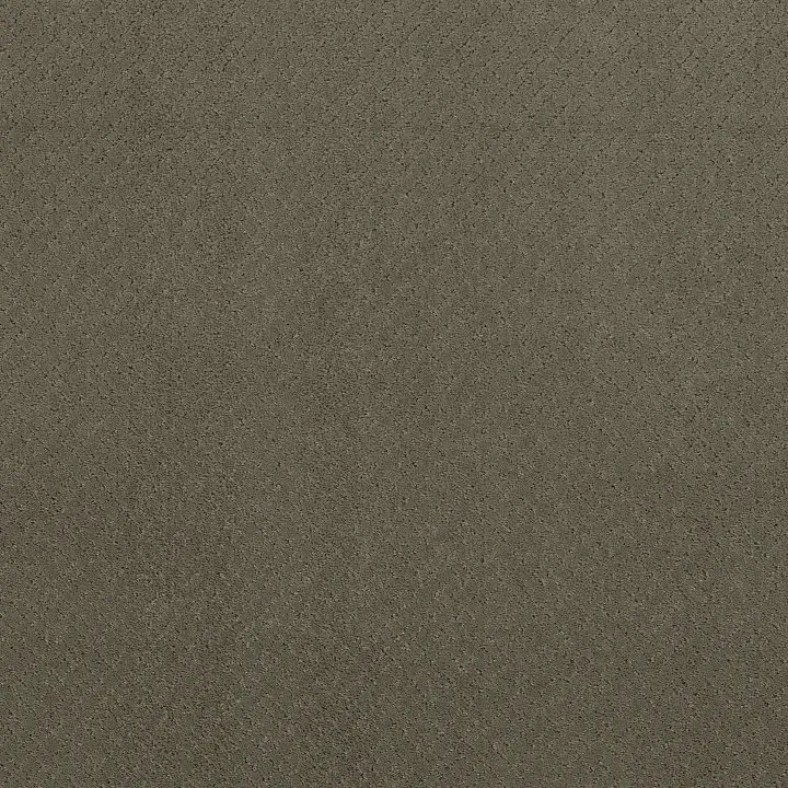 Anderson Tuftex Mosaic — Dash · ZZ076-00556 — flooring selection with LeviArs Design & Remodeling